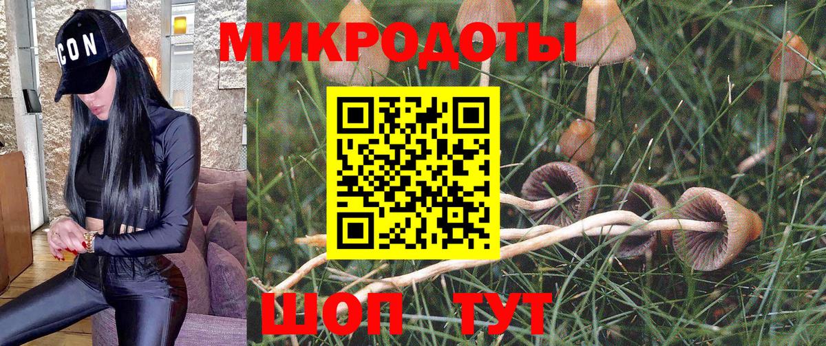 Галлюциногенные грибы Magic Shrooms  Вход с VPN  Тула 